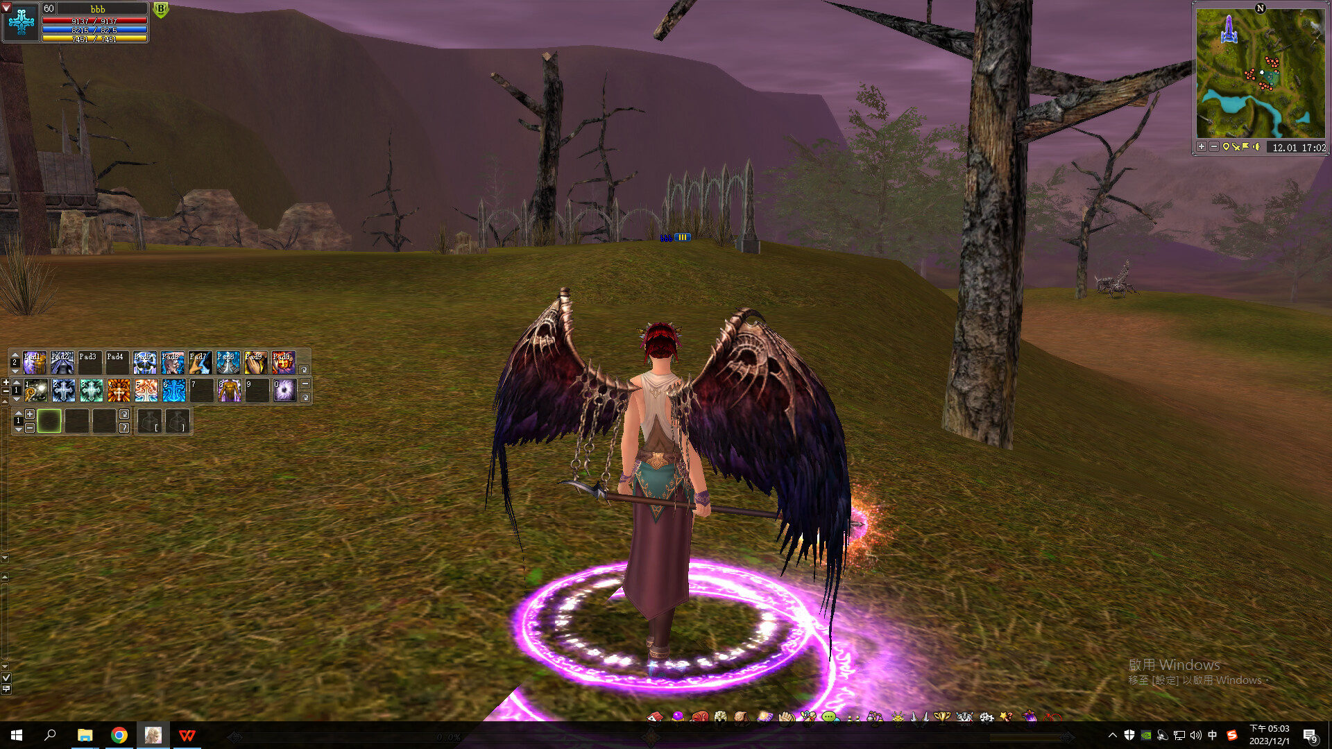 Shaiya gameplay screenshot 2